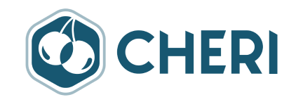 Beyond Software Patching